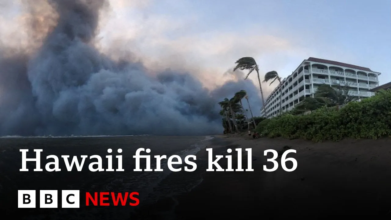 At least 36 killed as wildfires tear through Maui island in Hawaii - BBC News